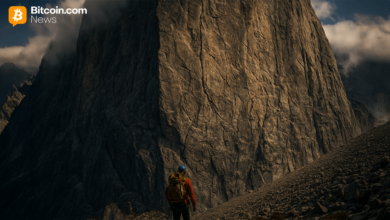 Wall of Resistance: Cryptoquant درباره کاهش تقاضا با سقوط بیت کوین به سمت حمایت بحرانی هشدار می دهد