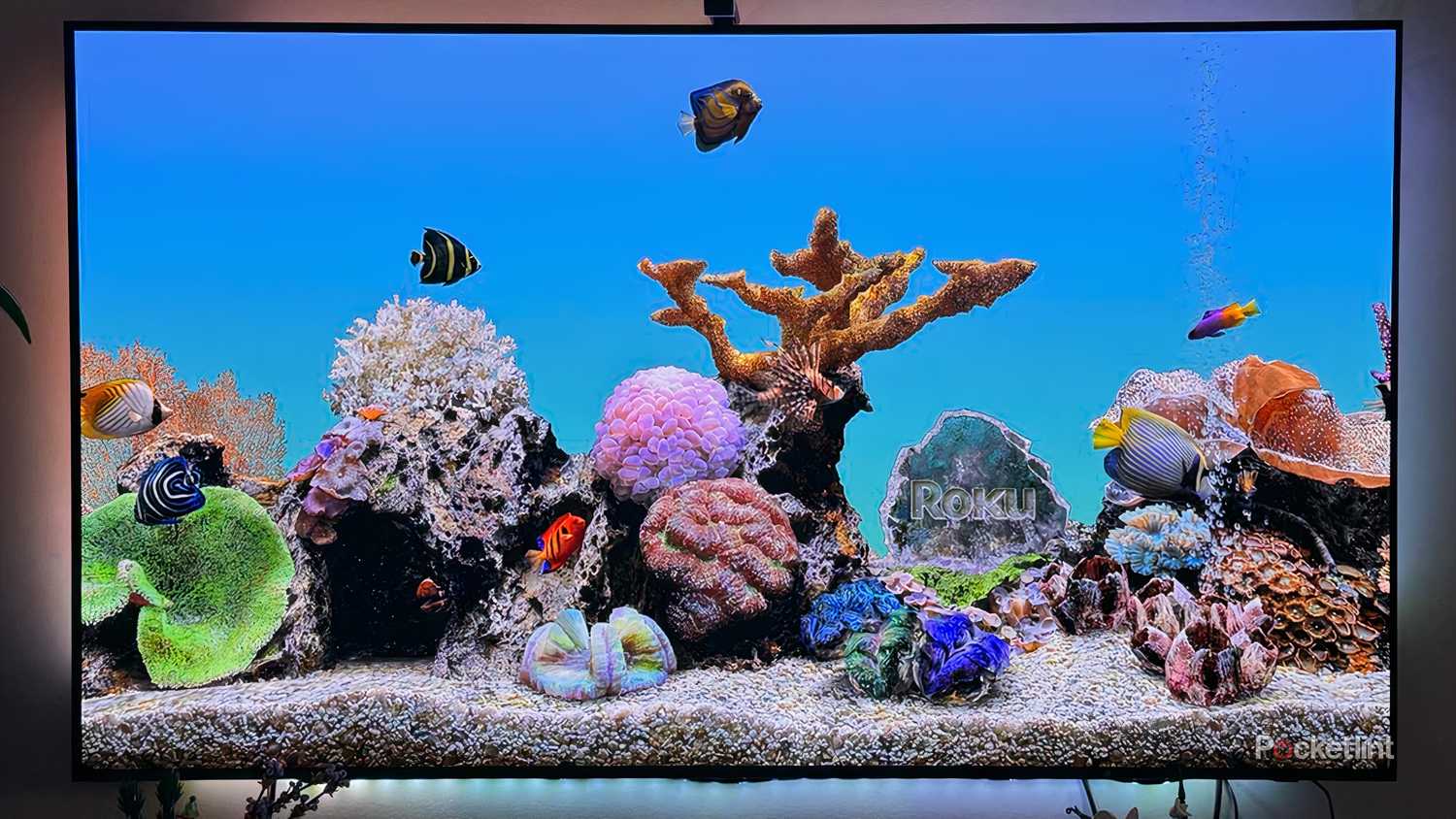 محافظ صفحه نمایش Roku OS Aquarium.