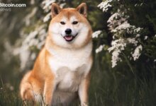 DOGE سیگنال Lazarus را راه اندازی می کند، گزارش های انحلال را سرزنش می کند