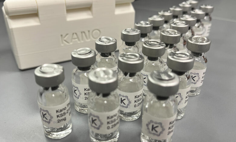 یک ماده DNA بهتر برای پزشکی ژنتیک | اخبار MIT