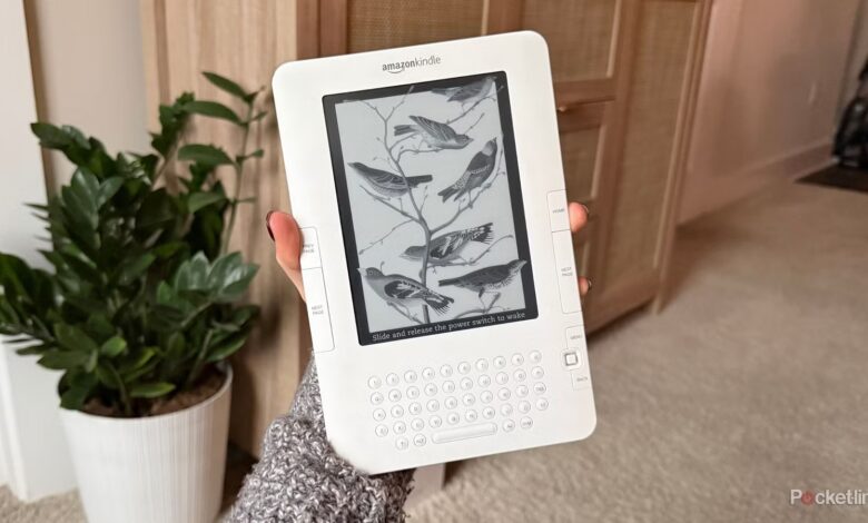 من سعی کردم کتابی در مورد کیندل 15 ساله بخوانم