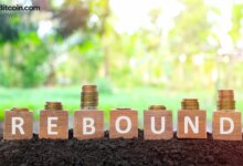 با تداوم جریان خروجی اتر، ETF های بیت کوین با ورود ۴۵۷ میلیون دلاری باز می گردند