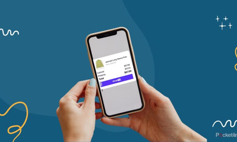 نمی توانید بررسی کنید؟ فقط شما نیستید، Shopify از کار افتاده است