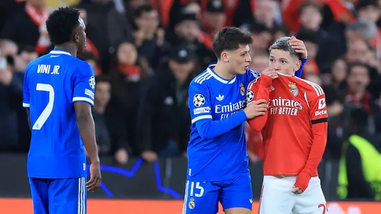 Cricket in L1