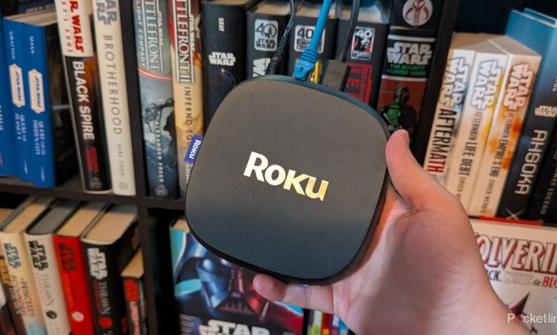 اگر به صدای خانه خود اهمیت می دهید، به Roku Ultra نیاز دارید