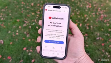 YouTube تقریباً در حال حاضر غیرقابل استفاده است مگر اینکه هزینه آن را پرداخت کنید