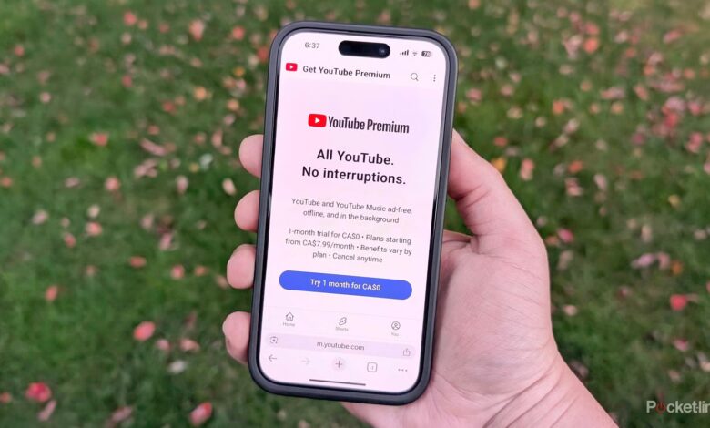 YouTube تقریباً در حال حاضر غیرقابل استفاده است مگر اینکه هزینه آن را پرداخت کنید