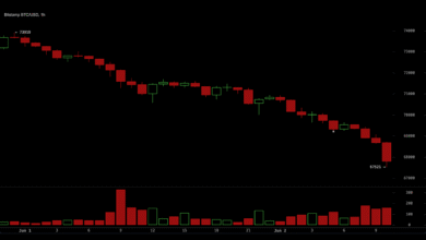 Blackrock IBIT Sheds $440M as Bitcoin ETF Outflows Reach 11 Days