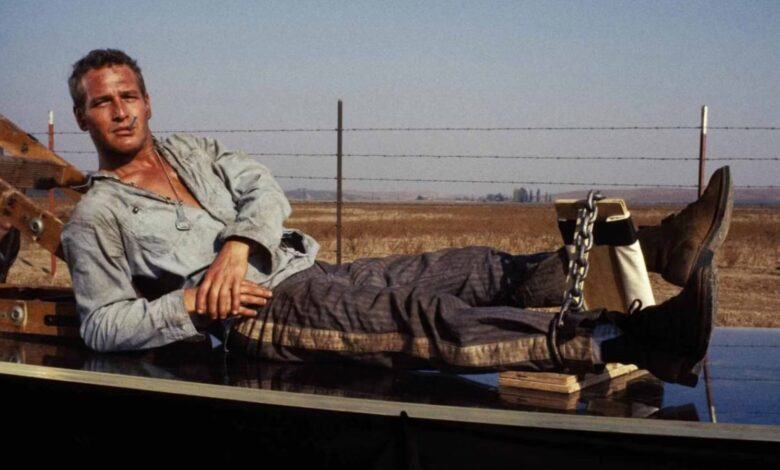 Cool Hand Luke در حال حاضر برای پخش در YouTube رایگان است