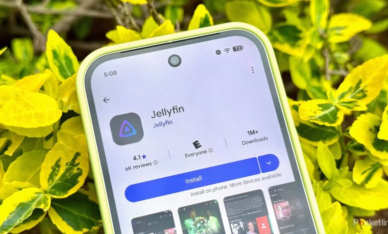 3 اپلیکیشنی که Jellyfin را بهتر می کنند