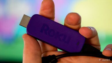 آیا Roku Streaming Stick همچنان در طول آخرالزمان زامبی ها کار می کند؟