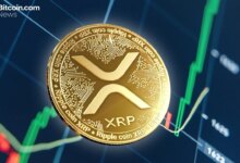 The Bots Were Fake: SEC Sues Privvy Founder Over $12.3 Million Crypto Scheme