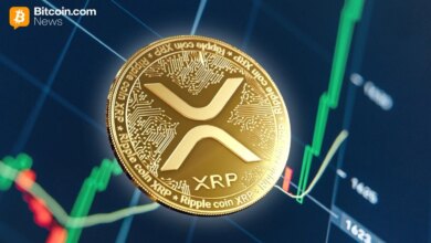 The Bots Were Fake: SEC Sues Privvy Founder Over $12.3 Million Crypto Scheme