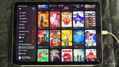 من از Apple TV به عنوان قفل فیلم استفاده می کنم و ای کاش زودتر این کار را می کردم