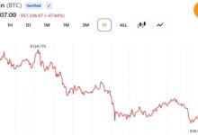Harriet Browning, Twinstake — Institutional Staking &amp; the Future of Crypto Adoption
