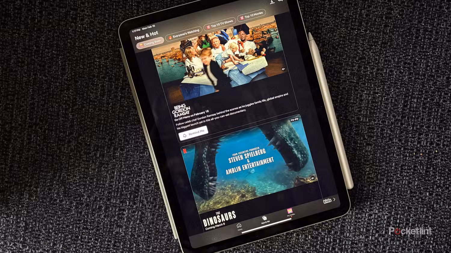 نتفلیکس در iPad Air.