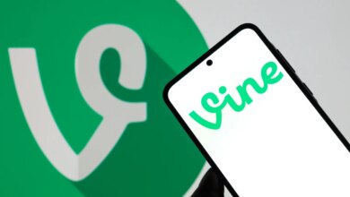 راهاندازی مجدد Vine، diVine، اکنون منتشر شده است تا ما را از شیب هوش مصنوعی نجات دهد