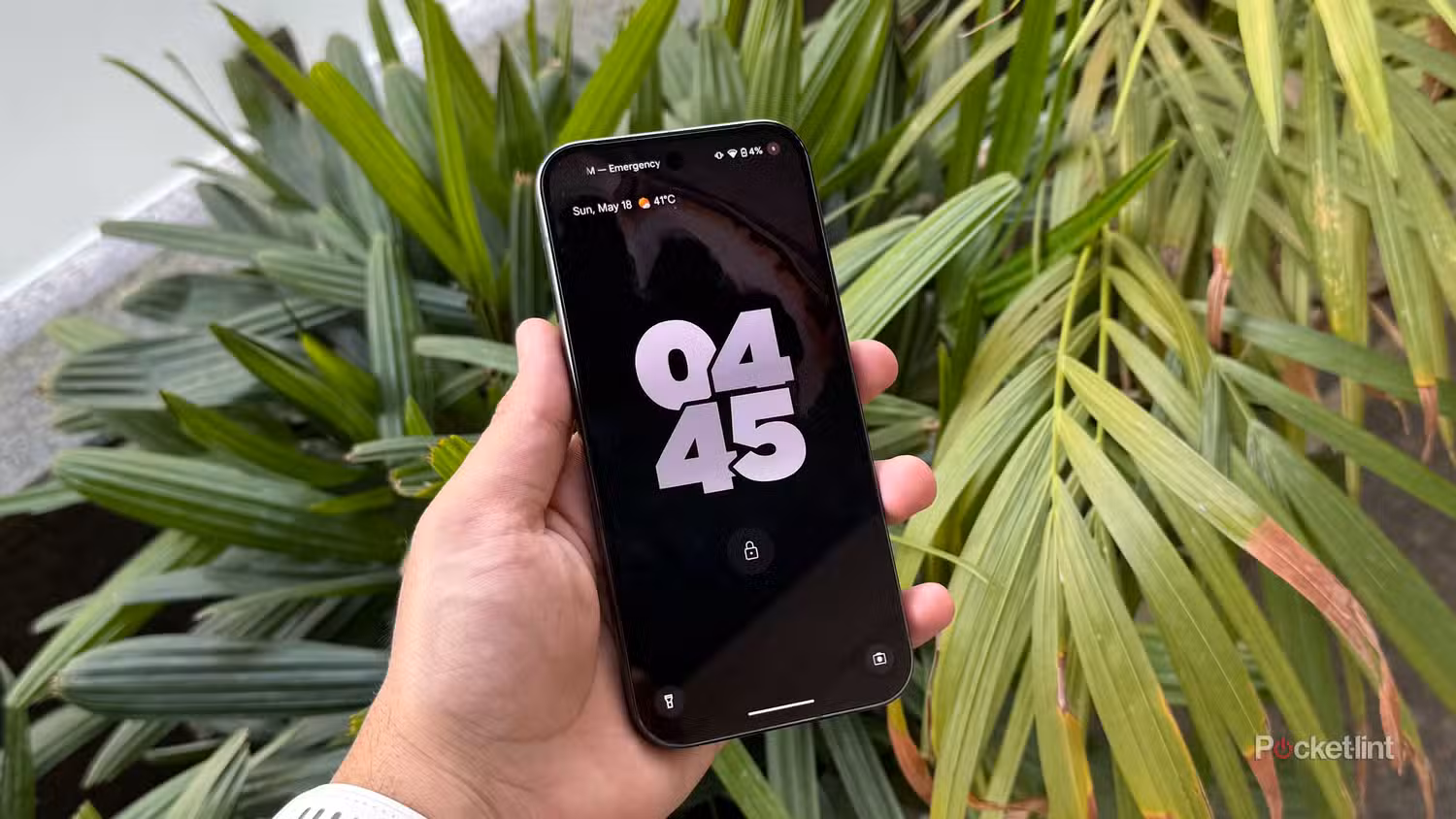یک Pixel 9 Pro با فعال کردن بهینه‌سازی باتری، جلوی برگ‌های سبز رنگ.